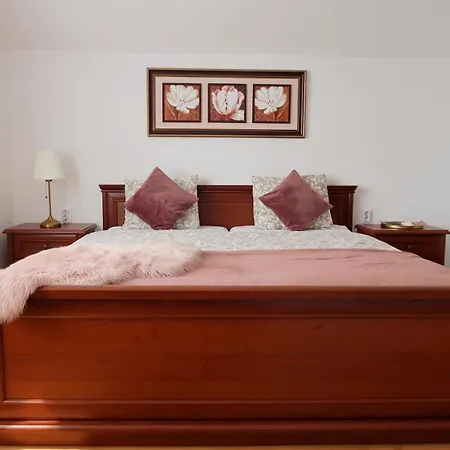 Csanadi Bor- Es Vendeghaz Guest house *